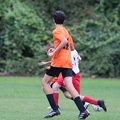 IMG 4658