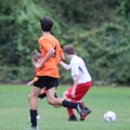 IMG 4659