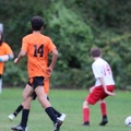 IMG 4661