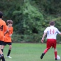 IMG 4663