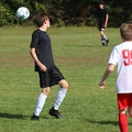 IMG 7868